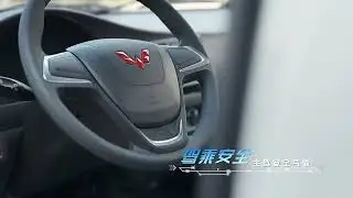 wuling hongguang trucks ev
