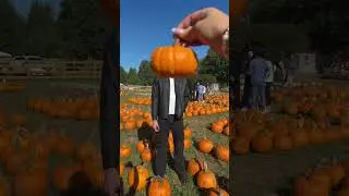 pumpkin patch date ayeee #inspo #fy