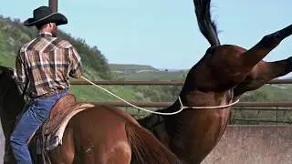 Western Polo | Part 3: 