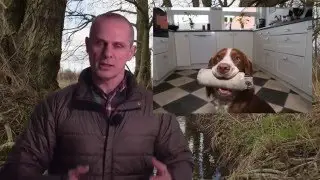 Hundetræning Krav - Vilkår - Kriterier