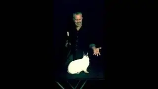 INCREDIBLE Magical Rabbit | Coolest Magic Tricks | Steve Kish the Magician 🐇🎩 |