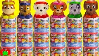 Genie Teaches Colors, Counting, and Sorting with Paw Patrol All Star Mashems