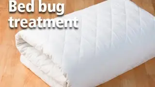 Bed Bug Service Video