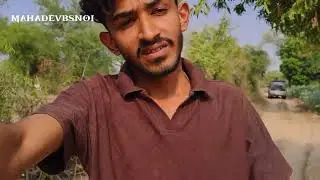 Barmer rajasthan new vlog .....very interested video 📷...Thar desert.. sunset...dally vlog 