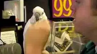 Louisville Zoo Stopped by the BD & KK Show