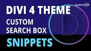 Divi Theme Custom Search Box 👈
