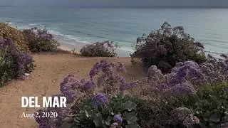 Del Mar Beach, San Diego in California | Travel memories 2020