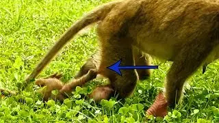 Why Baby Lori So Dirty Like This | She Cry So Loudly To Hold Mom Cuz Scare The Dog| Very Pity