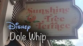 Dole Whip Locations - Walt Disney World
