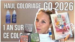 Vlog colo 85 ✏️ : De belles réceptions et focus terminer des colos ! 