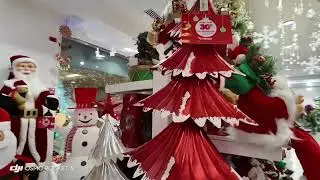 Panama Diaries; sunny Panama come join me for Christmas decorations!#expatlife #christmas#travel 