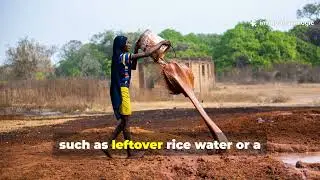 Stop Buying Compost &mdash; This Fermented Mulch Mix Works Faster