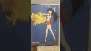 My wall scroll and posters setup as of June 15th, 2020