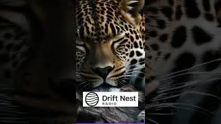 #sleeppodcast #sleepaid #animalfacts #insomniarelief #relaxingnarration #animalpodcast #asmranimals