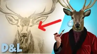 DESSINONS LE CERF ÉLAPHE | Learn & Draw