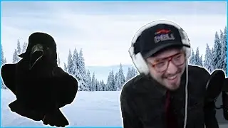 Making Music With A Raven