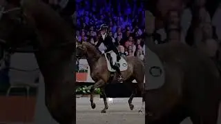 Edit Competition!  @Equistride1 ❤️ || #horse #equestrian #dressage #edit