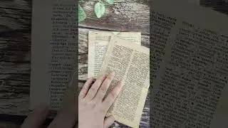 365 Days Of Ephemera | Day 70: Simple Multipocket Using Vintage Dictionary Pages