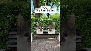 POV: First date with the most awkward cat ever 😭❤️ #memes  #shorts #kittenrescue #funny