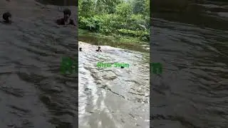 #RiverSwim#SiruvaniRiver #beast #anirudh #arabickuthu