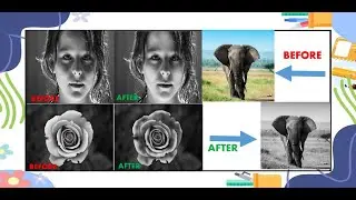 Photoshop || Burn Tool || Dodge tool || Sponge Tool || Image Gray Scale Technique ||