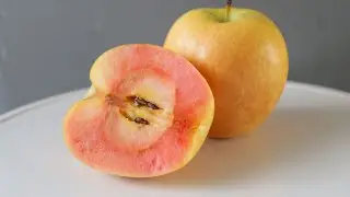 Have you heard of the Hidden Rose Apple?