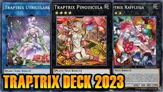 【YGOPRO】 TRAPTRIX DECK 2023
