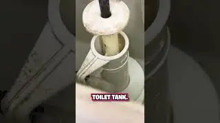 Mold in Your Toilet? Here's an Easy Fix! 🚽