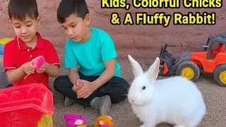 Colorful Chicks, Curious Kids & One Fluffy Rabbit &ndash; Backyard Fun
