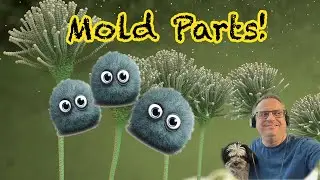 Parts of Mold