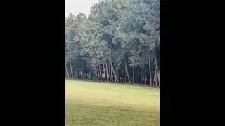 Sight and sound of Entebbe Golf course