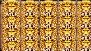 BIG WIN on REALM OF LIONS: HOLD AND WIN Slot by SYNOT! 🎰 Bonus Orbs & Roaring Rewards!