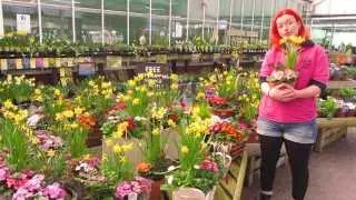 Mothers Day 2014 | Glebe Garden Centre Leicester