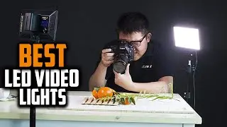 The 10 Best LED Video Lights in 2025 Review