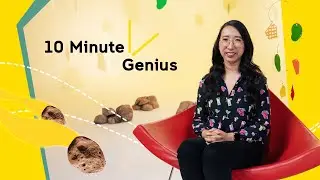 Soap to Cells and the Origins of Life | Anna Wang