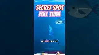 MIND-BLOWING Tuna STRIKE at Our Secret Spot! 🤯#tunafishing #fishingstrike