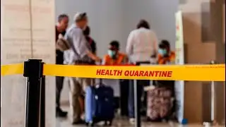 Govt's 'heath and economic response' tops Senate Committee agenda