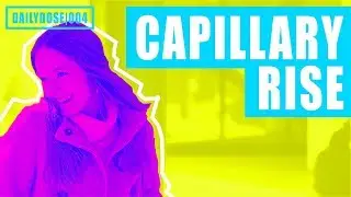 FE EXAM FLUID MECHANICS - CAPILLARY ACTION | FE EXAM PRACTICE PROBLEM | DAILYDOSE 004