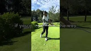 Try this flamingo 🦩 drill to strike your chips crisp #golf #subscribe #improveyourgolf #golfswing