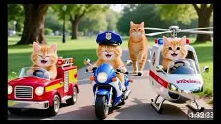 Cute Rescue Cats Team  
