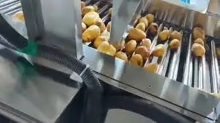 3Tons potato washing drying grading production line