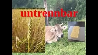 ग🐐Pflanzliches Essen und Koppelprodukte