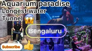 Exploring longest Aquarium Paradise in Bengaluru | India Ka Sabse lamba Water Tunnel 😱