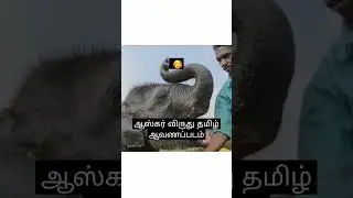 Oscar 2023 award for the elephant whisperer #documentary #tamilfilm #Oscar #awards #India