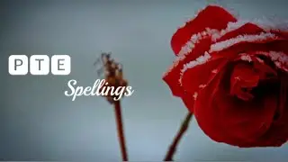PTE Vocab Words Practice || Spellings Practice