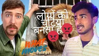 Mister bees new video hindi dubbed