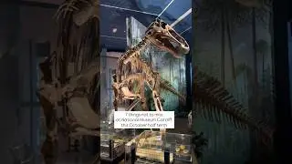 7 things not to miss at National Museum Cardiff this October half term #Cardiff #VisitCardiff