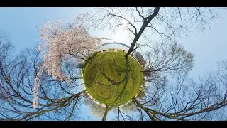 Hamburg in Virtual Reality: See the city bloom in Spring | 360&deg; Video VR 8k