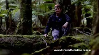 Discover The Tarkine