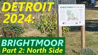 Detroit 2024: Brightmoor Part 2: North Of Fenkell To McNichols. MSU-Detroit Partnership For Learning